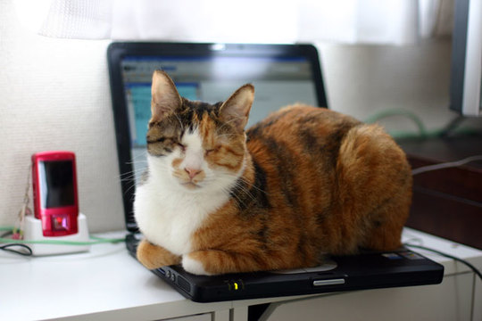 ライフハック大賞2010。あなたの役に立った記事を「#LHA2010」へどうぞ