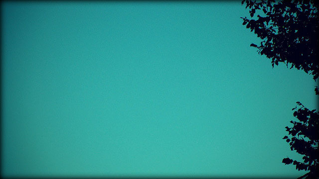 xlarge_tree-and-sky.jpg