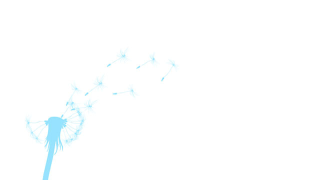xlarge_dandelion.jpg