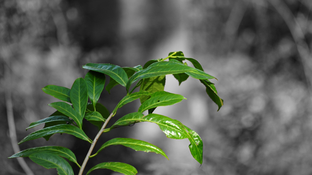 110726ww28-6.jpg