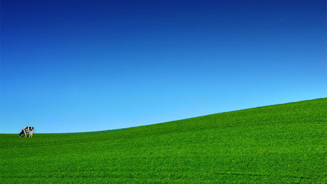 xlarge_minimal-cow.jpg