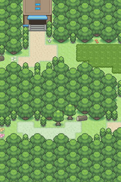 pixel-forest.jpg