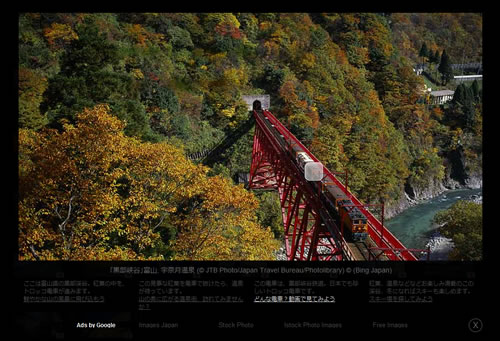 111108_bing3.jpg