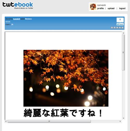111114_twtebook3.jpg