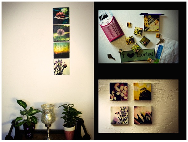 120520phototile1.jpg