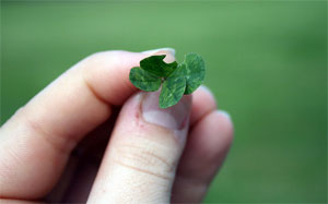 120604_four-leaf-clover.jpg