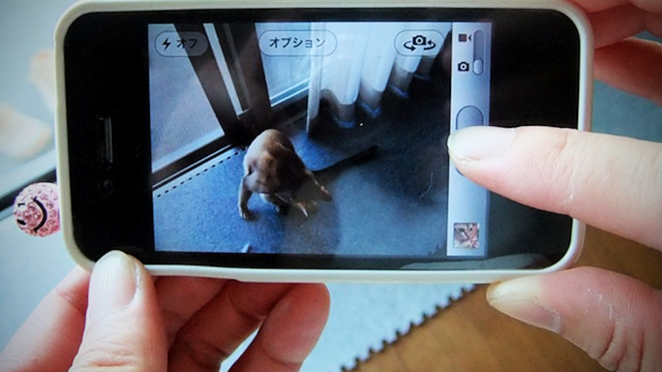スマートフォンのカメラで手ブレせずに撮るコツ