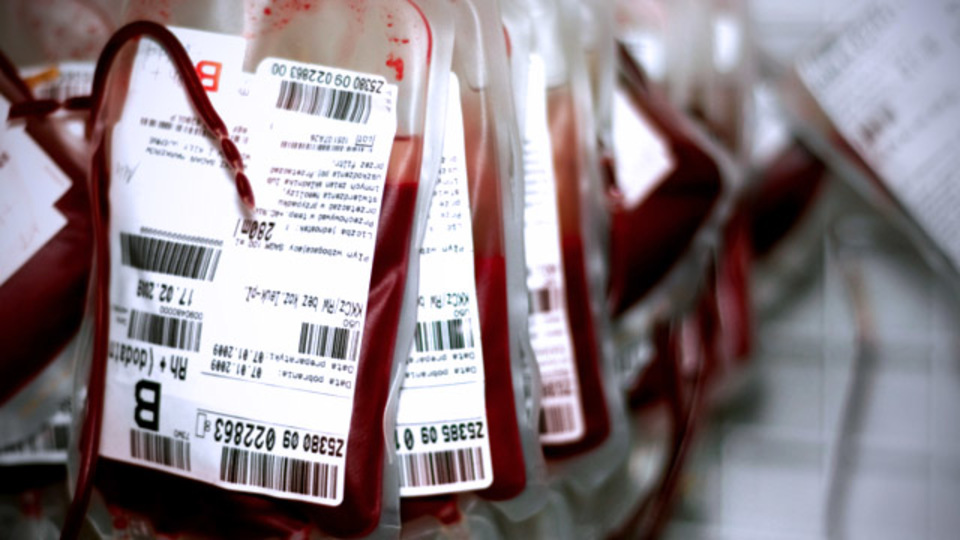 鉄分をたくさん取れば、カラダは強くなる？