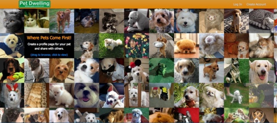 自分のペットのプロフィールをまとめられるサイト「Pet Dwelling」