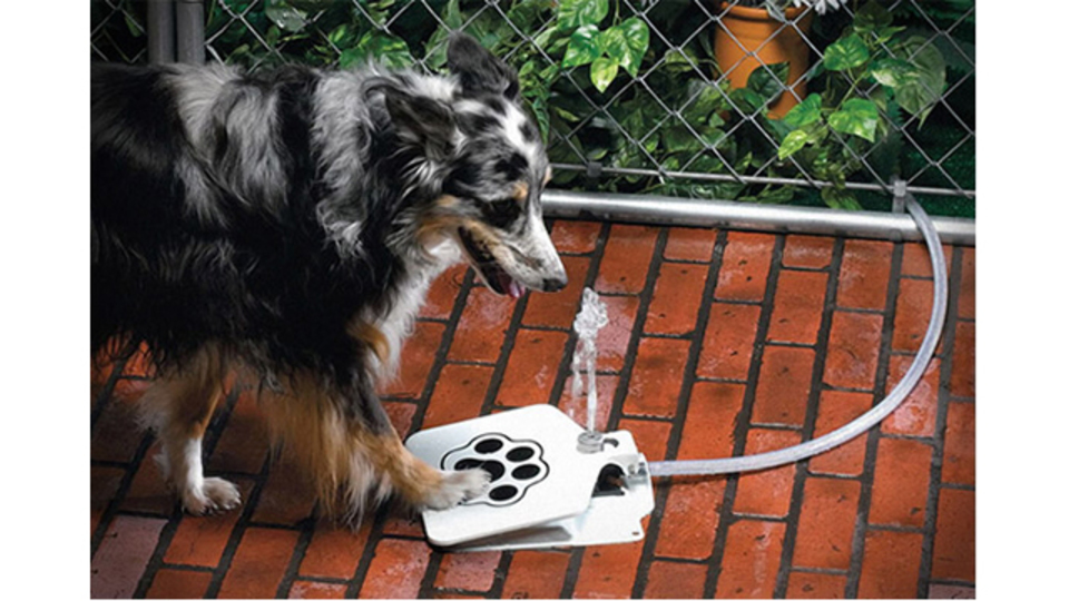 いつでも新鮮な水が飲める! ペットが扱える水道栓「Doggie Fountain」