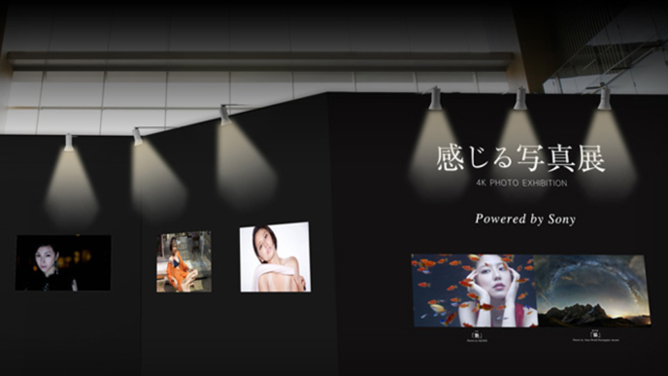 40秒でわかる、話題の「4K」 〜写真展で感じた、その威力〜