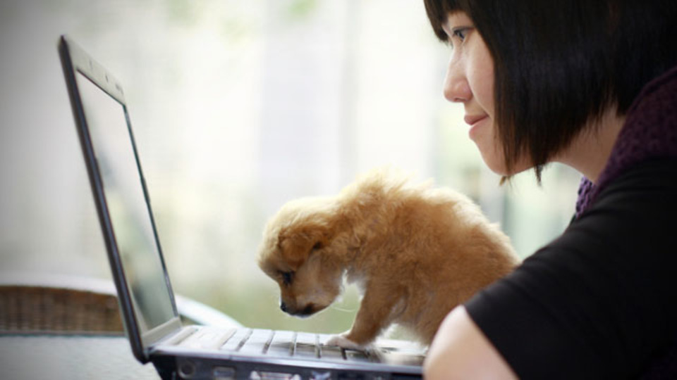 マイクロソフトは最高の仕事場? 日本マイクロソフトの女性たちの働き方