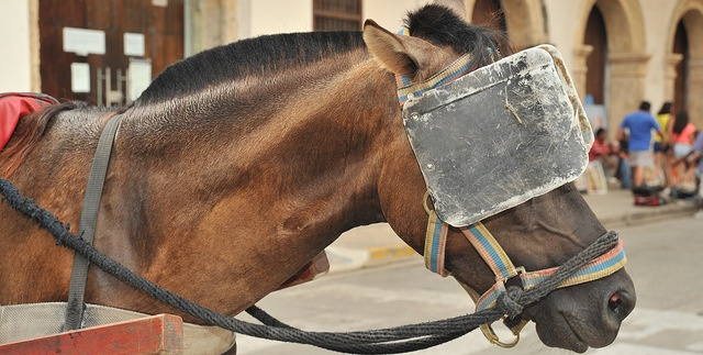 入手する情報の量を制限する