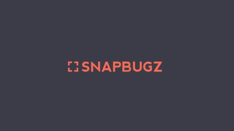 ウェブサイトのデザインや構成を話し合うときに便利な「snapbugz」