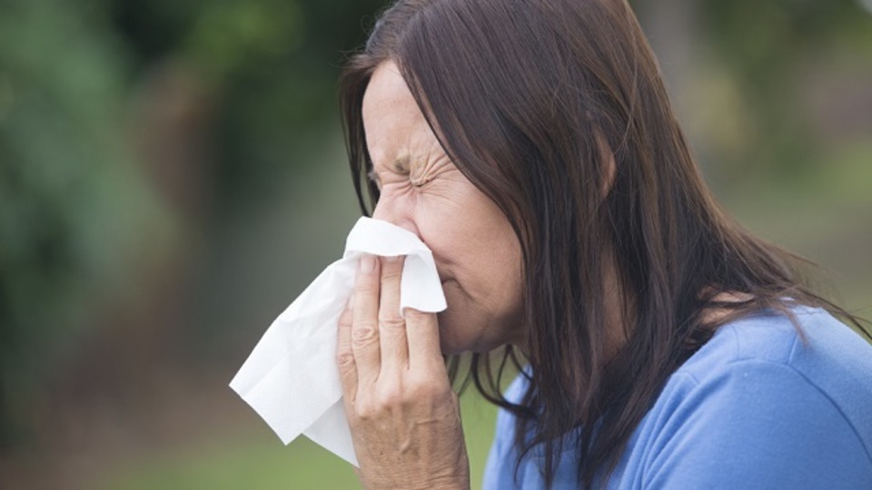 これって風邪? 花粉症? 判断に迷った時の見分け方