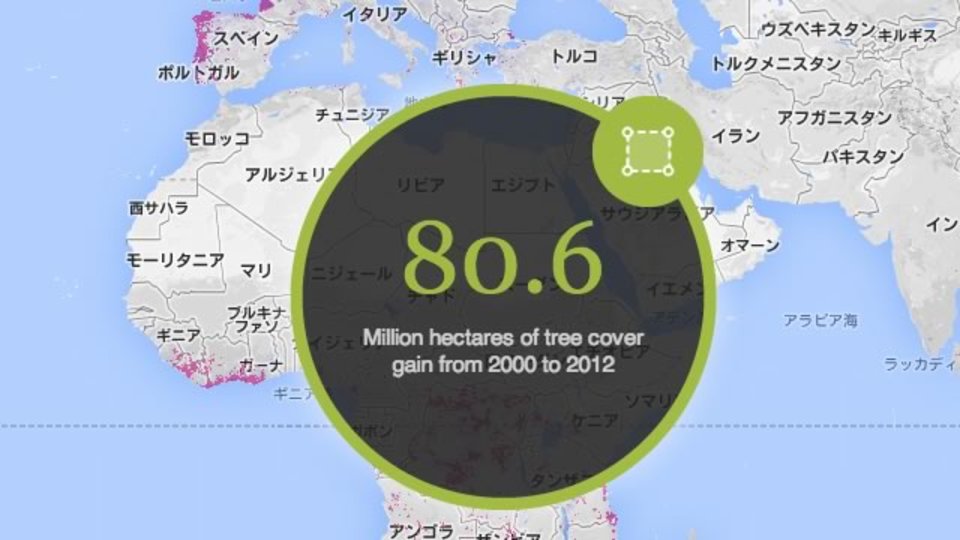 世界中の森林伐採状況がわかる、そわそわするサイト「Global Forest Watch」