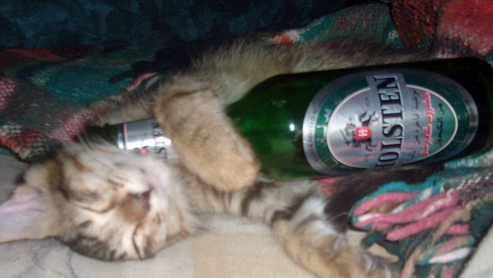 夜ぐっすり眠りたいなら、ビールではなく「ノンアルコールビール」