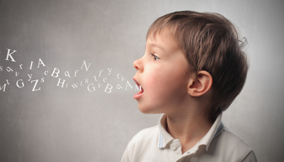 新しい言語を学ぶなら押さえておくべき科学的法則