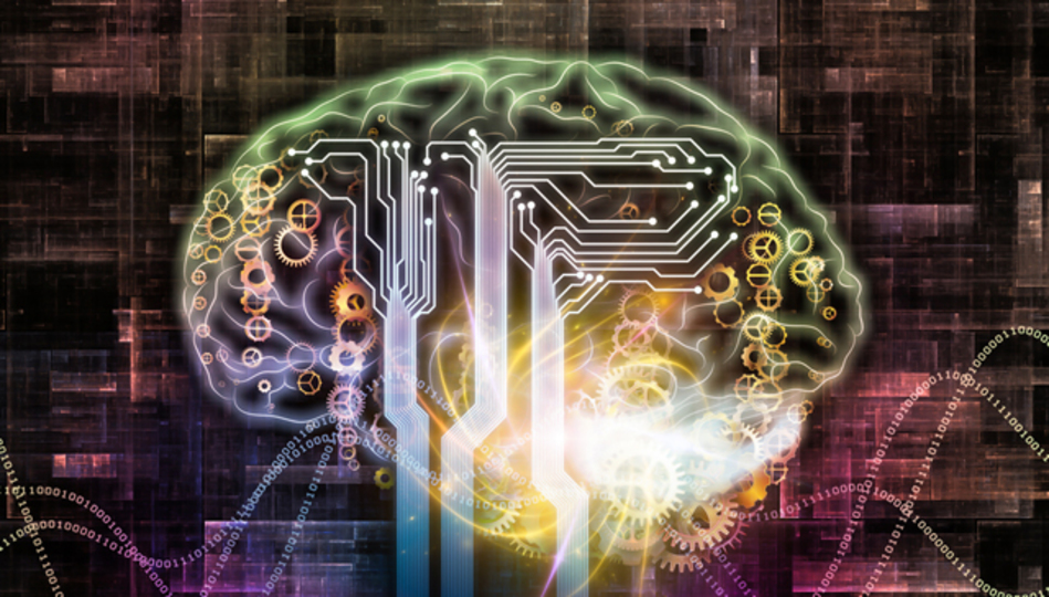 2050年に人間の脳はどうなるか。脳科学者たちの7つの予測