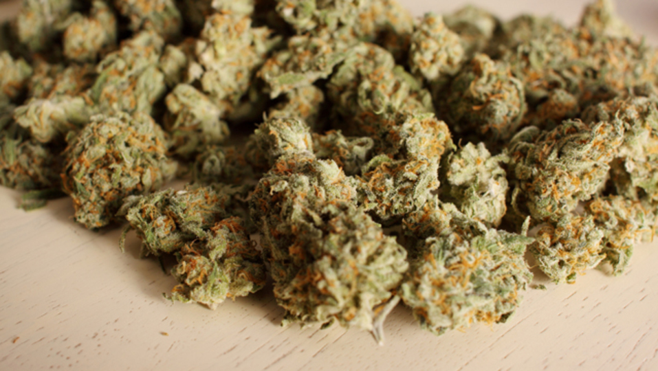 大麻税収で学校建設も。米コロラド州の専門家が語る「合法的大麻ビジネス」の行方