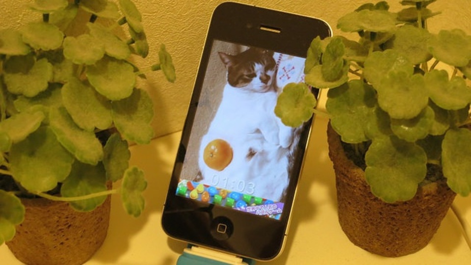 トイレや部屋の居心地をよくする、引退したiPhoneの使い道