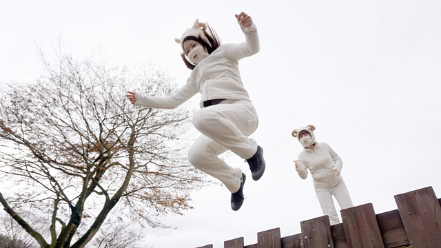 141212sheep_photo_11.jpg