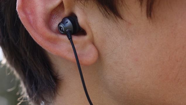 141220maintain_ears5.jpg