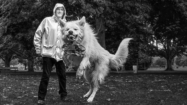 150214how_to_keep_yourpet006.jpg