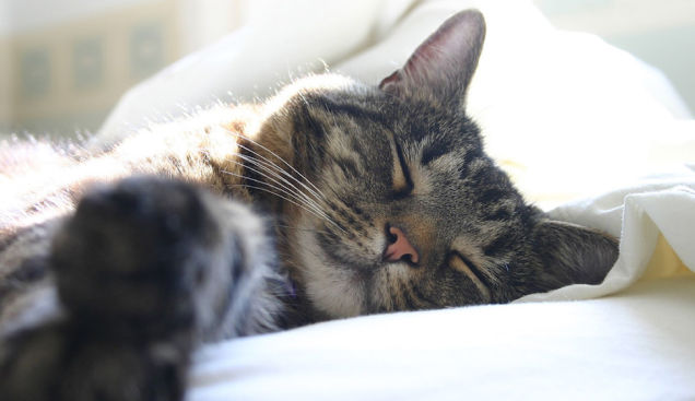 150318sleep.jpg