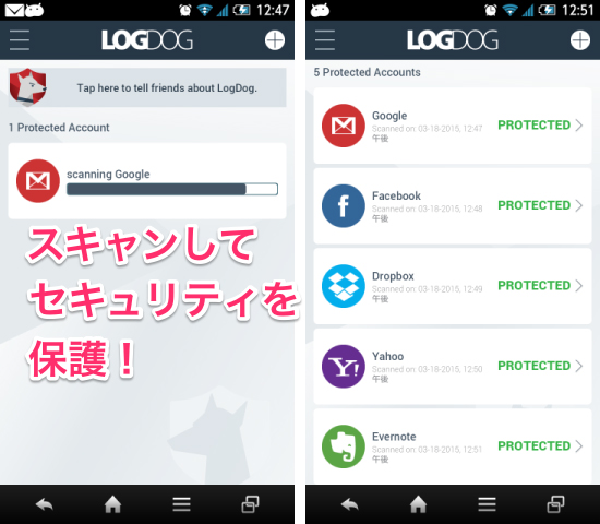 150323logdog003.jpg