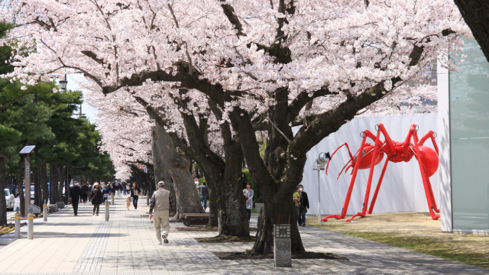 満開なのは桜ばかりじゃありません。花を愛でる美術館:全国編