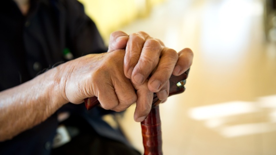 60代以降にピークを迎える知的能力もある:研究結果