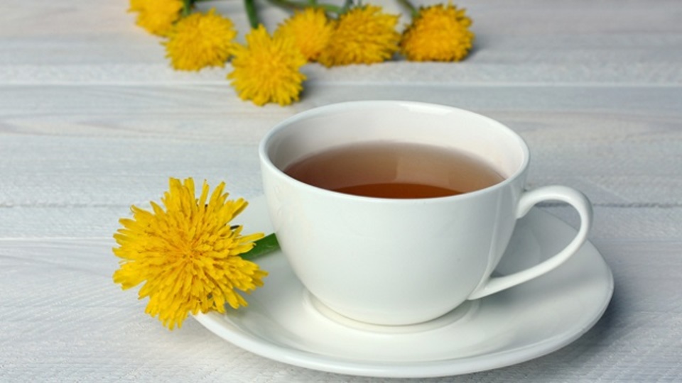 カフェインなしでコーヒー代わり、NYで注目されるタンポポコーヒー