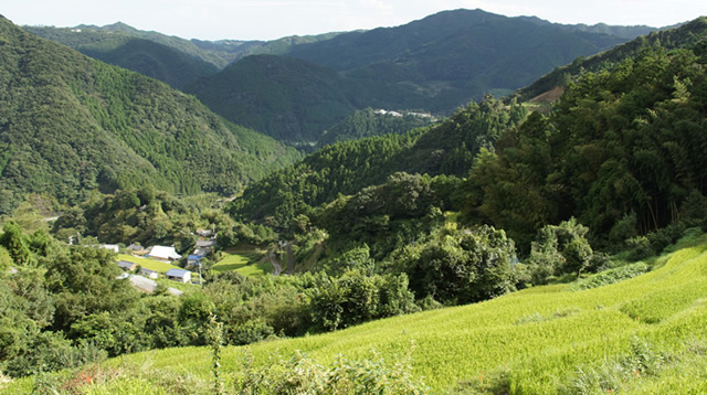 150728_kochitosayama_2.jpg