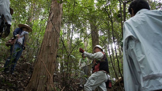 150728_kochitosayama_4.jpg