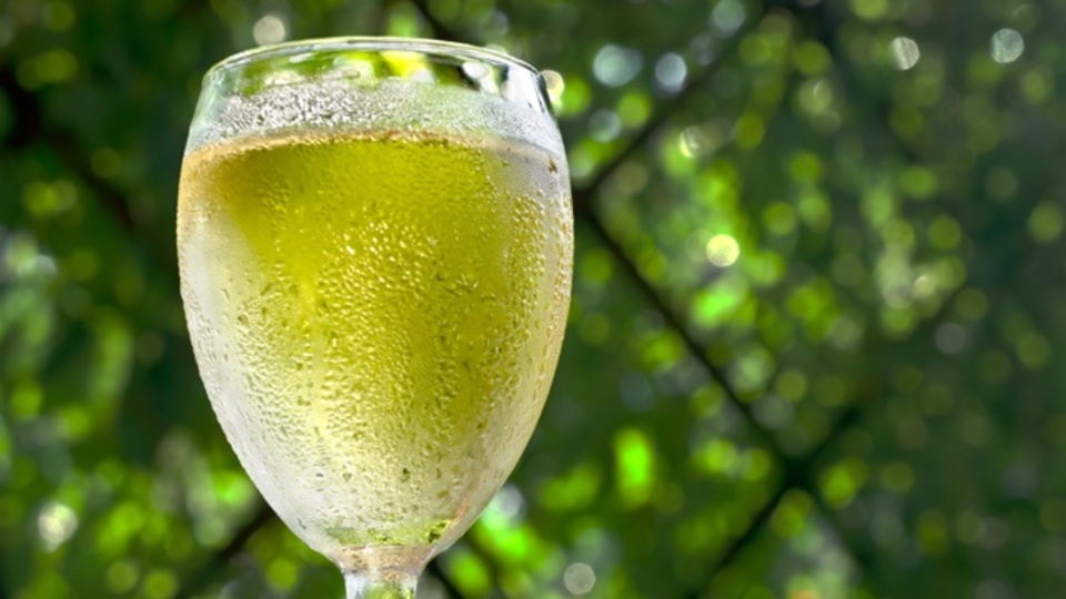 ソムリエが教える自宅で飲みたい美味しい白ワイン(国別代表を紹介!)