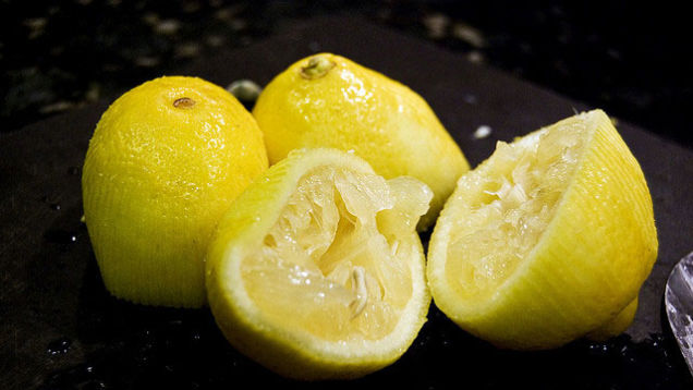 150814lemon3.jpg