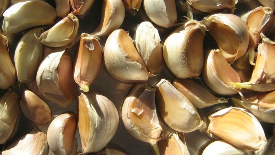 ニンニクを絶対に焦がさないイタリア流の炒め術