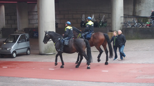 150919horse.jpg