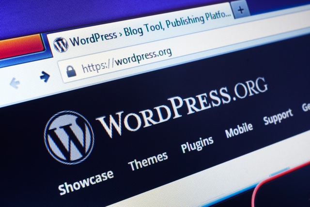 151020wordpress1.jpg