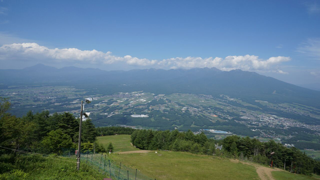 tsuda_fujimicho2.jpg