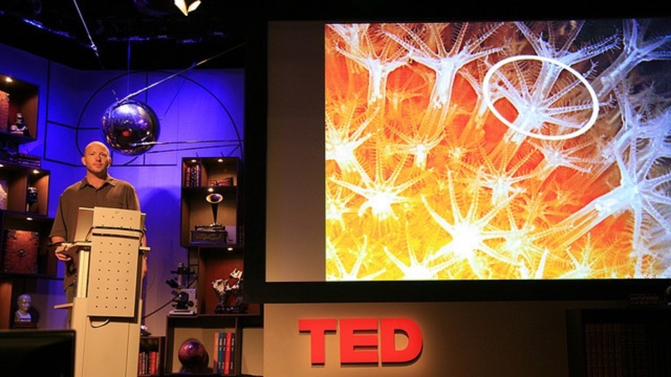 金曜の午後でもモチベーションが湧く、3つのTEDのスピーチ