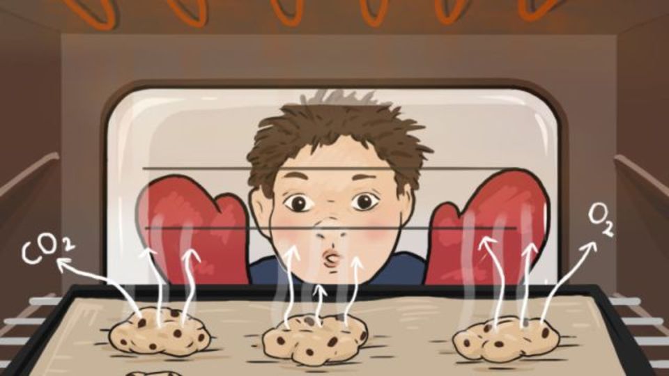子どもが理系に興味をもてるよう、親ができること