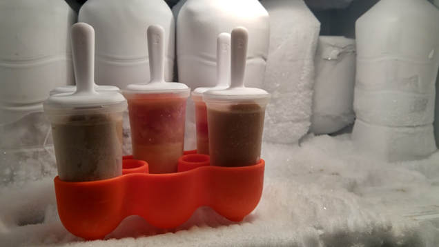 160608_Popsicles_06.jpg