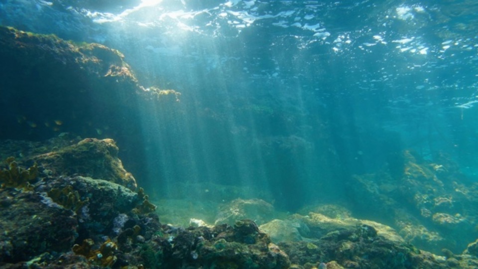 2030年までに海中の酸素レベルが著しく減ってしまう可能性