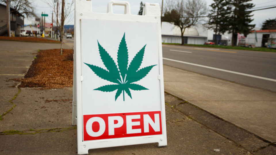マイクロソフト、大麻ビジネス参入へ