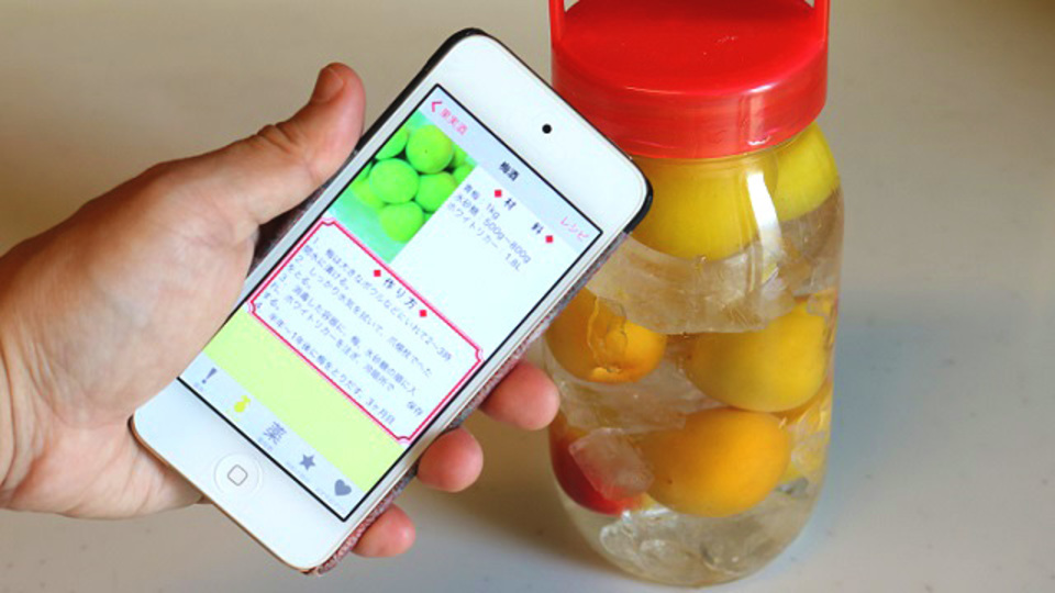 初めてでも簡単に果実酒が作れるレシピアプリ【今日のライフハックツール】