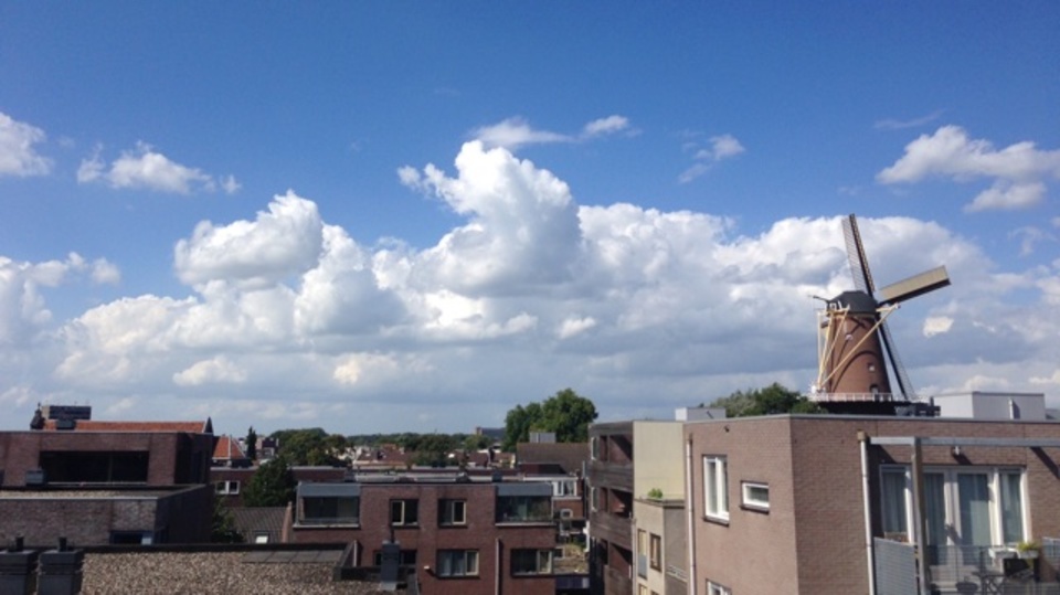 家族とオランダ移住して5カ月。私が感じた一番大変だったこと