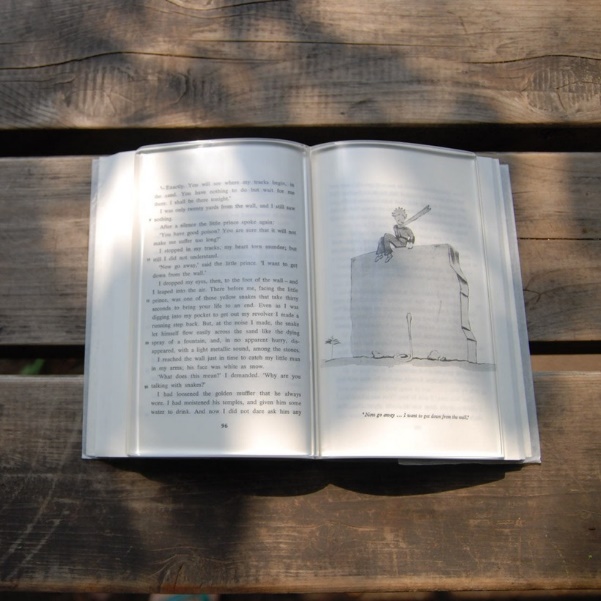 160906_bookonbook3.jpg