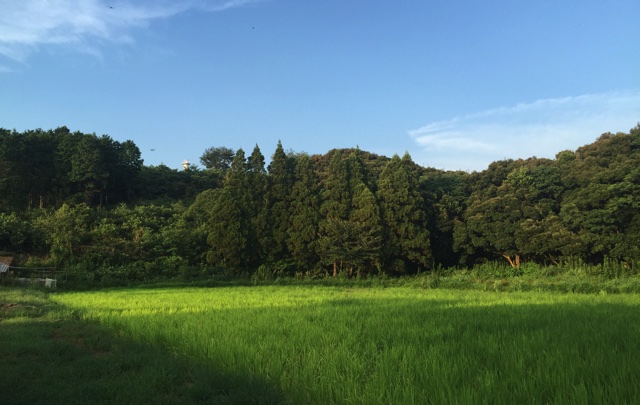 160918field2.jpg